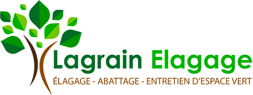 Lagrain Elagage - Entreprise d'élagage, de taille de haie, d'abattage à Drancy dans la Seine Saint Denis